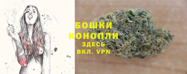 2c-b Инта