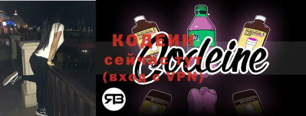 2c-b Инта