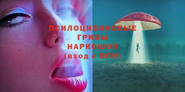 2c-b Инта