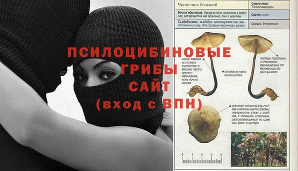 эйфоретик Инсар