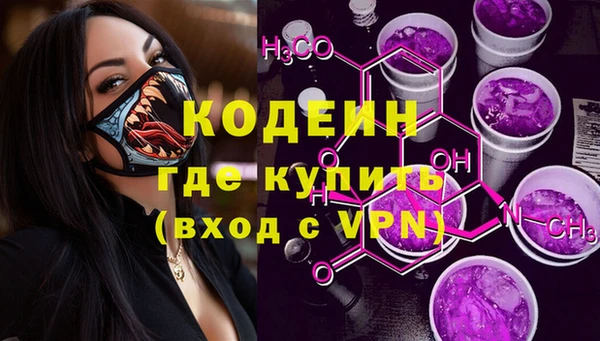 2c-b Инта