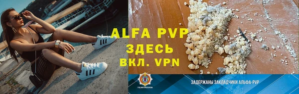 эйфоретик Инсар