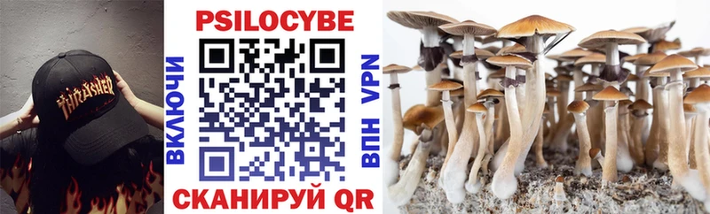Купить закладки  Приморско-Ахтарск  Псилоцибиновые грибы Psilocybe 